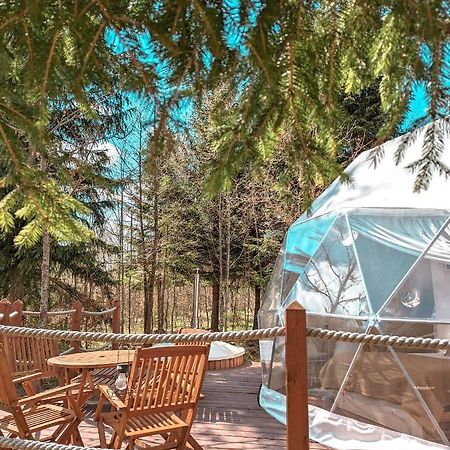 Hotel Medve Dome - Luxury Camping In The Middle Of Nature Vlahita Esterno foto