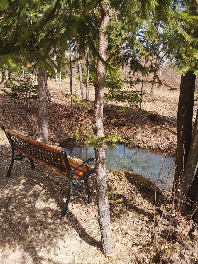 Hotel Medve Dome - Luxury Camping In The Middle Of Nature Vlahita Esterno foto