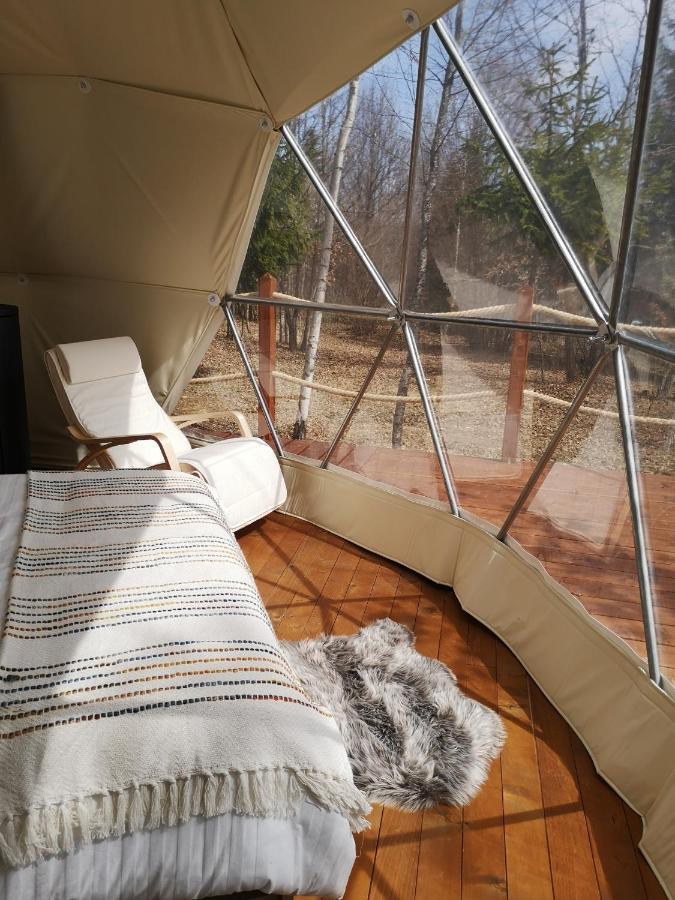 Hotel Medve Dome - Luxury Camping In The Middle Of Nature Vlahita Esterno foto