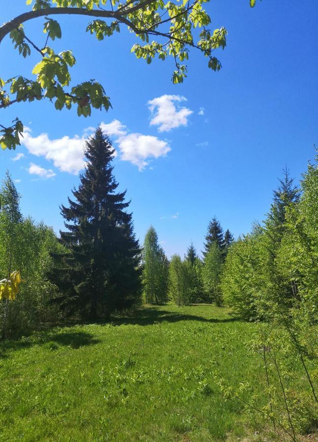Hotel Medve Dome - Luxury Camping In The Middle Of Nature Vlahita Esterno foto