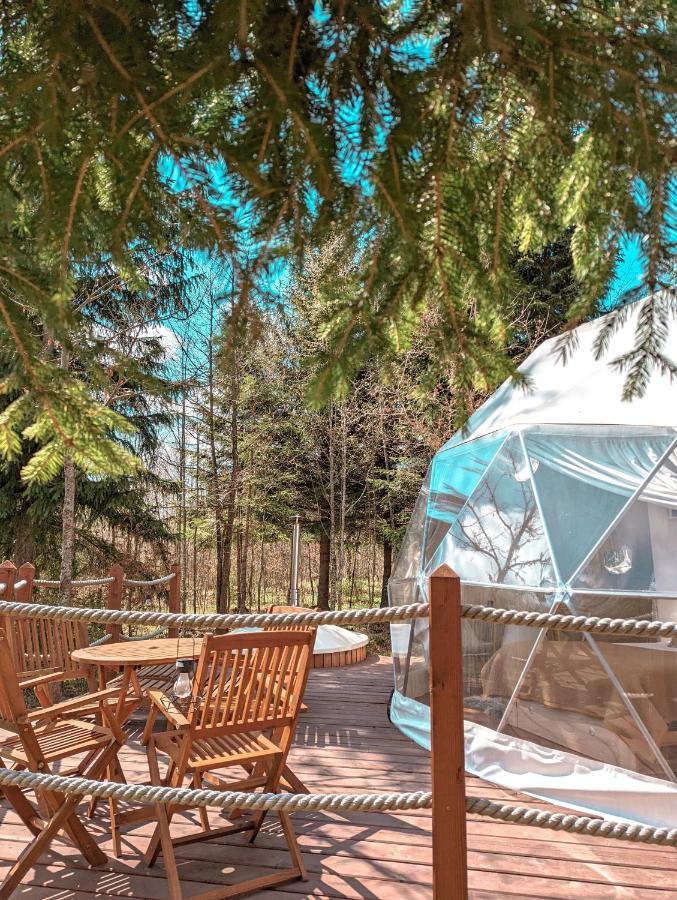 Hotel Medve Dome - Luxury Camping In The Middle Of Nature Vlahita Esterno foto